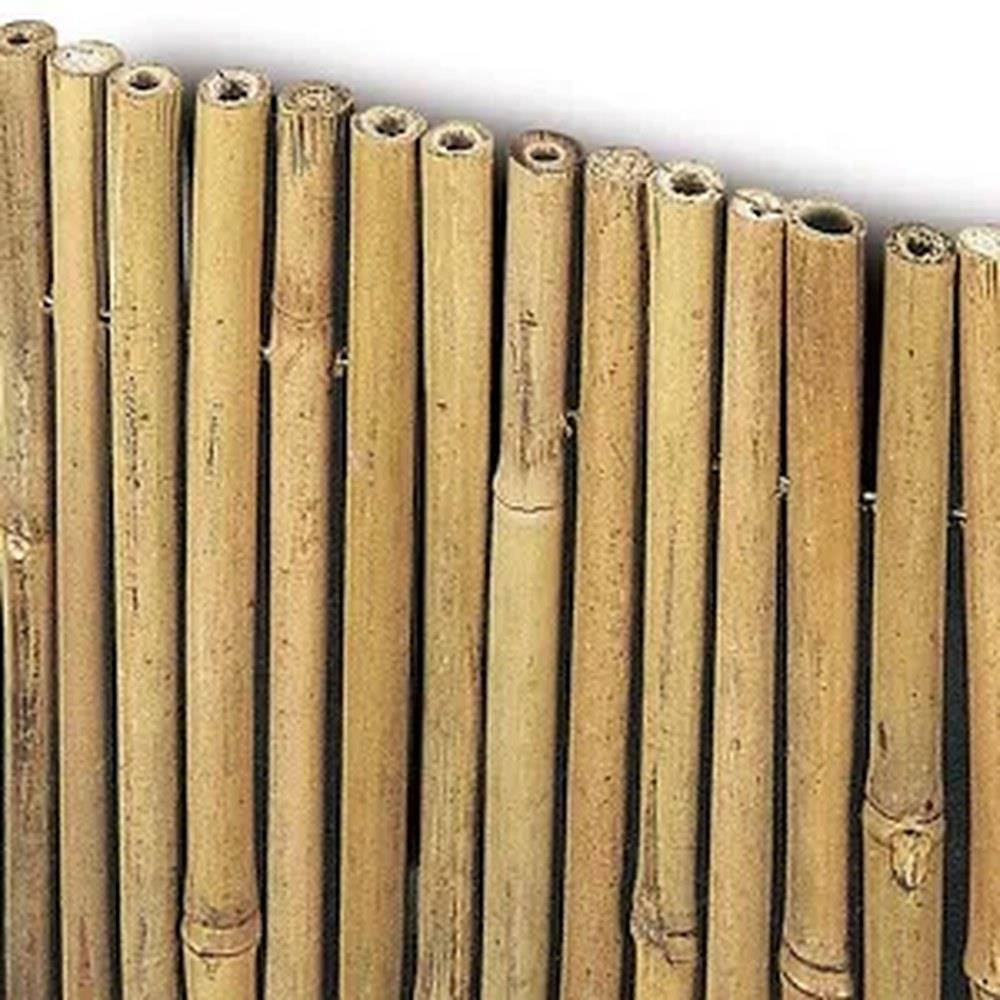 canniccio bambù canna grande - 3x2 metri
