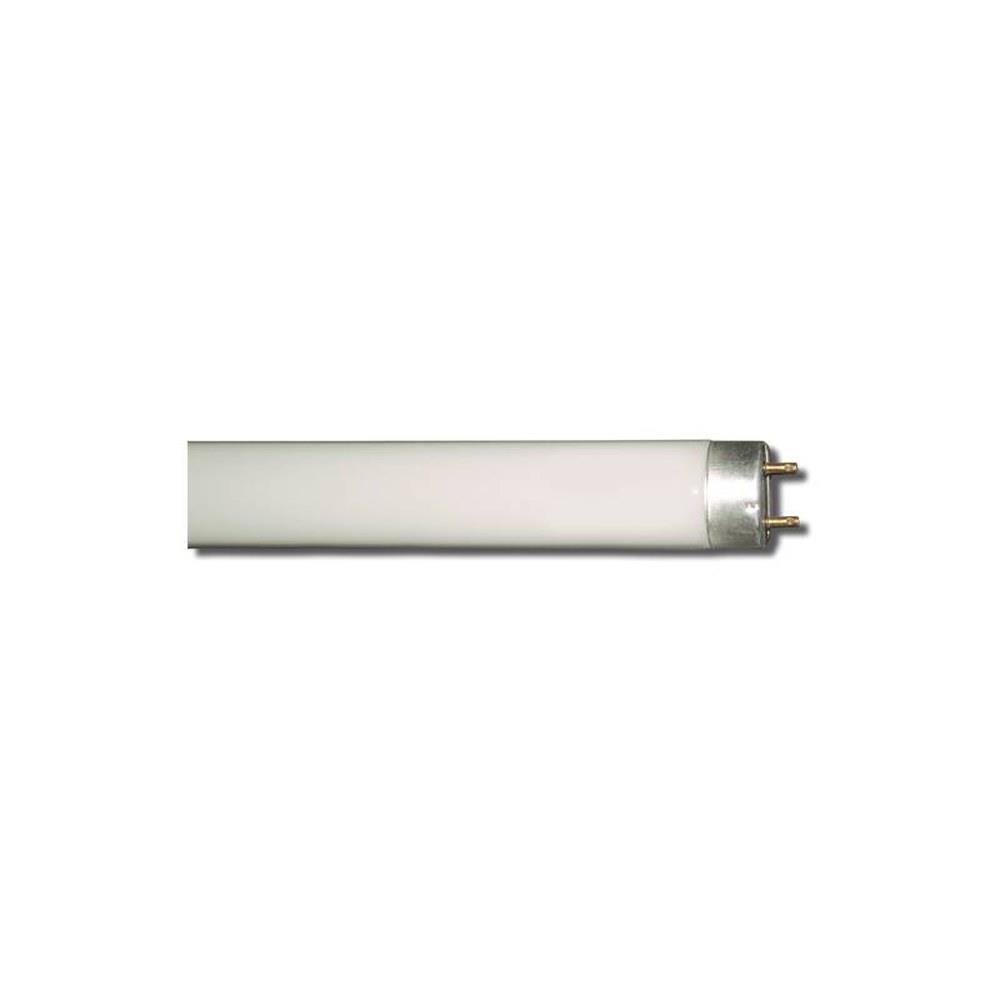 duralamp - lampada neon 36w 3000k